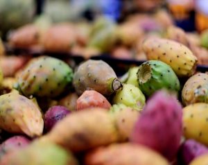 ما هي فوائد زيت التين الشوكي