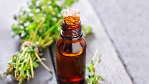 زيت الزعتر وفوائده