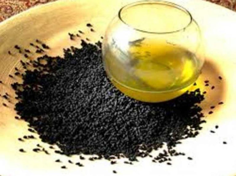 ما هي فوائد زيت حبة البركة للشعر الخفيف