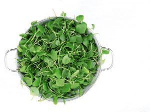 ما هي فوائد عصير الجرجير