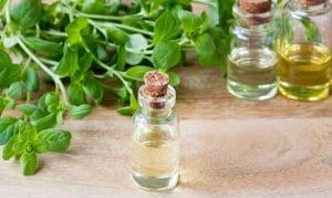 ماهي فوائد ماء البردقوش