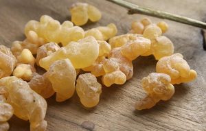 هل يمكن معرفة اللبان الذكر الأصلي