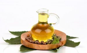 ما لا تعرفه عن فوائد شرب زيت الخروع