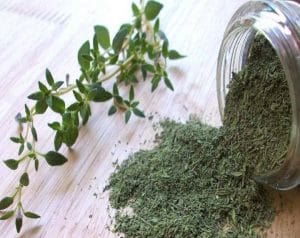 معلومات عامة حول فوائد الزعتر البري