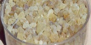 معلومات عامة عن فوائد اللبان الدكر للتخسيس