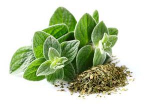 معلومات عن فوائد البردقوش للتخسيس