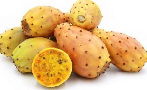 معلومات عن فوائد التين الشوكي لمرضى السكر