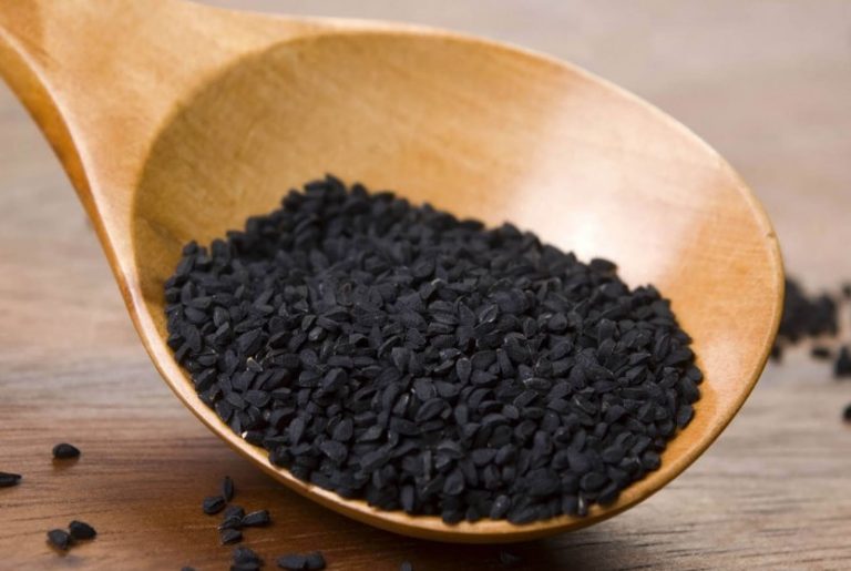 معلومات عن فوائد حبة البركة