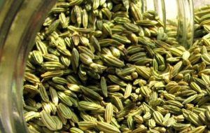 معلومات عن قيمة وفوائد الشمر للجسم