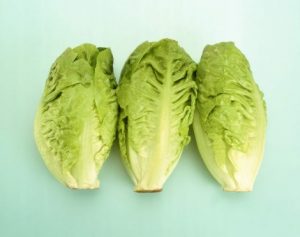 معلومات قيمة عن فوائد الخس