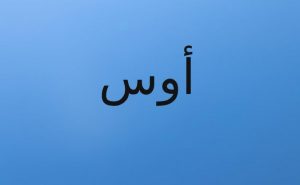 معنى اسم أوس