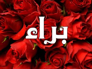 معنى اسم براء