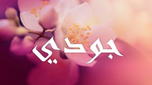 معنى اسم جودي