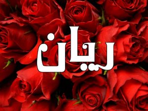 معنى اسم ريان