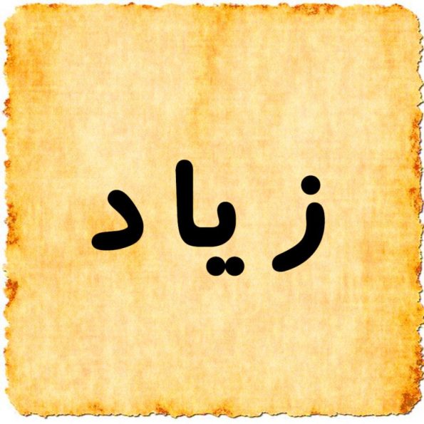 أسرار عن معنى اسم زياد Ziad في اللغة العربية والإسلام • موقع مصري