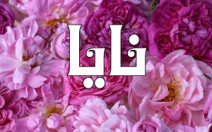 معنى اسم نايا