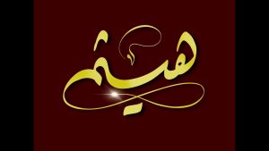 معنى اسم هيثم