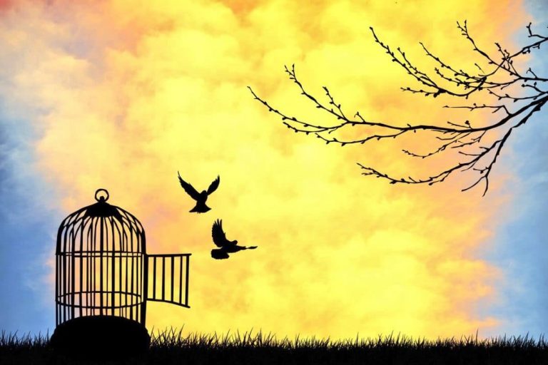 موضوع تعبير عن الحرية