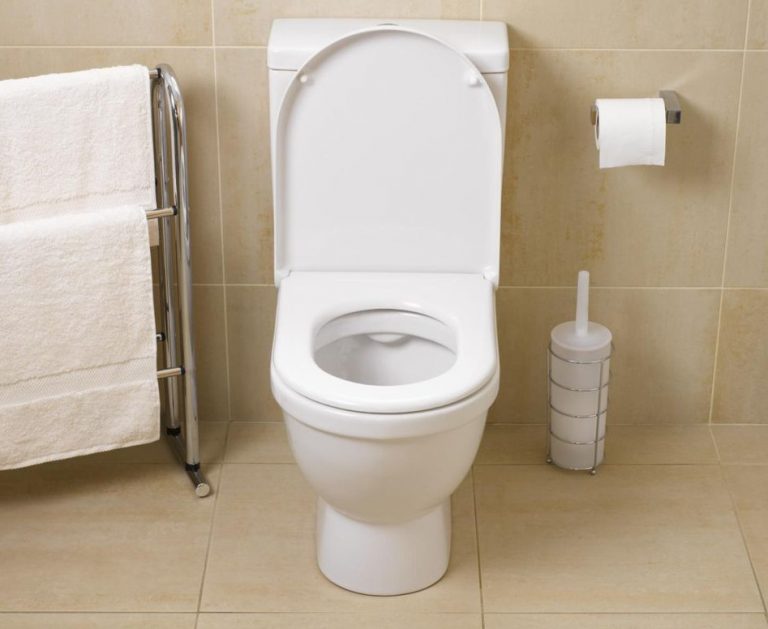 المرحاض في المنام